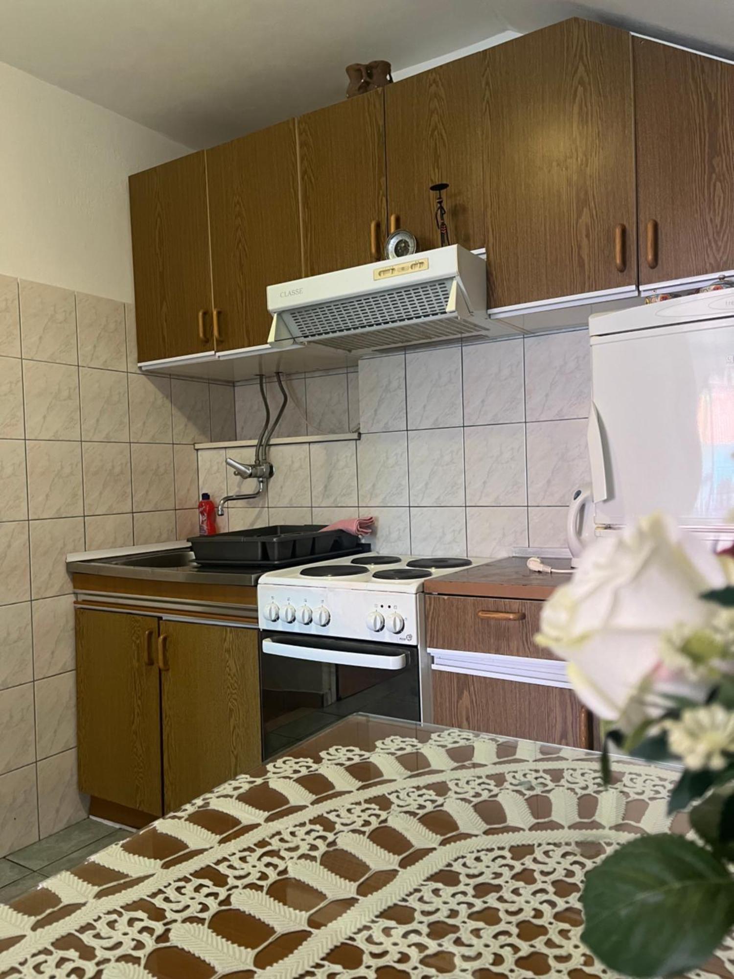 Apartament Bicanic *